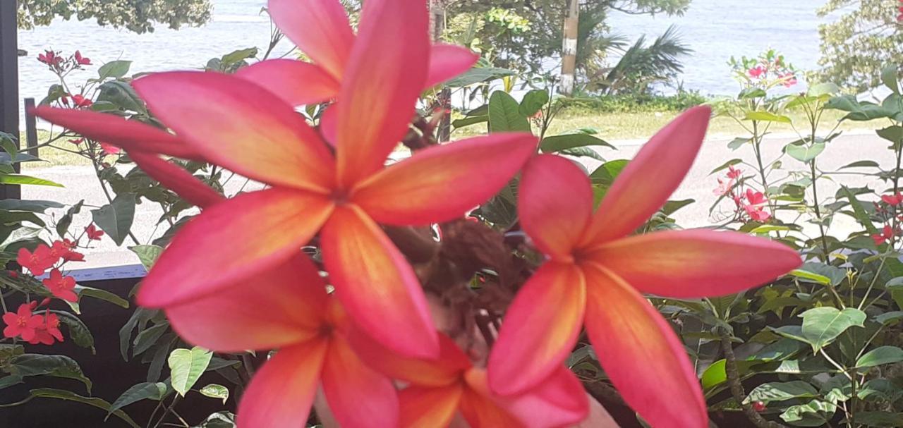 Kaila Na Ua Resort Korotogo Dış mekan fotoğraf