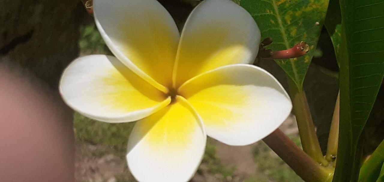 Kaila Na Ua Resort Korotogo Dış mekan fotoğraf
